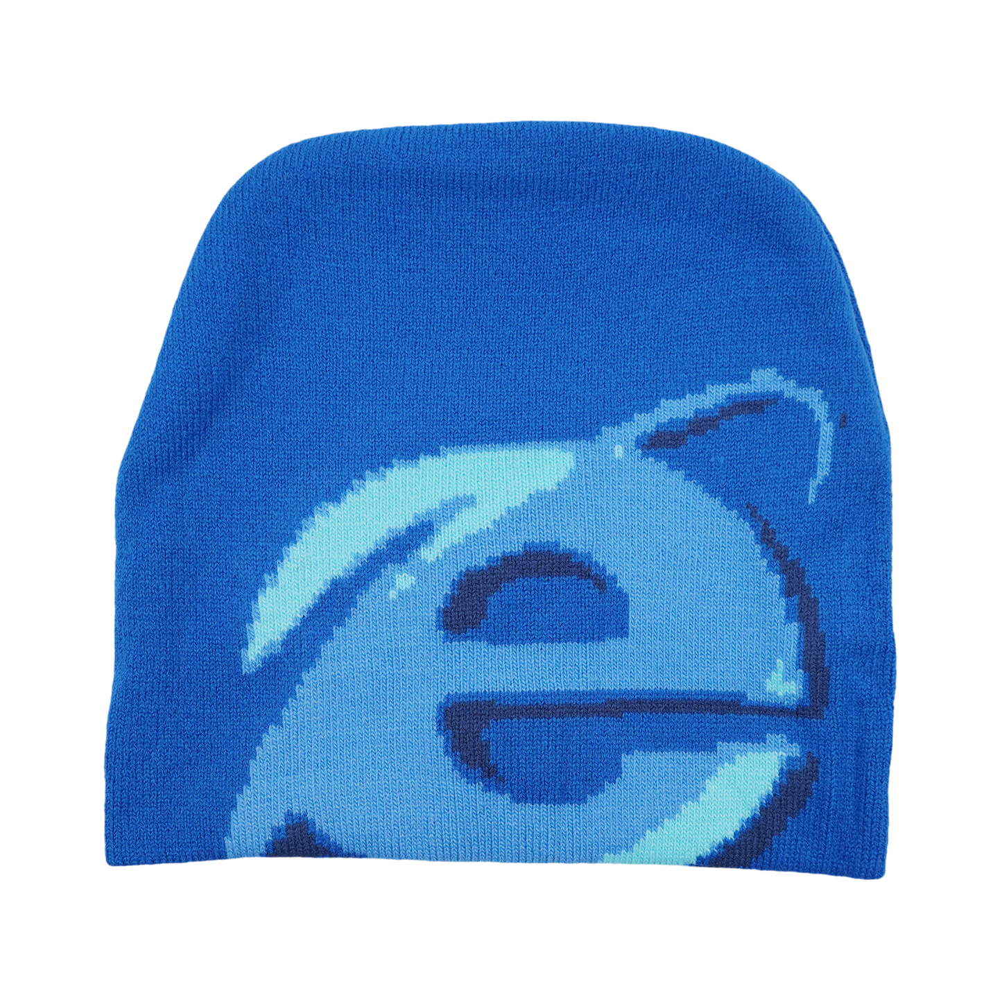 EXPLORER BEANIE