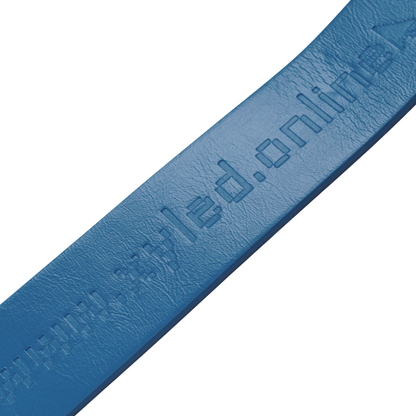 NYAN CAT BELT